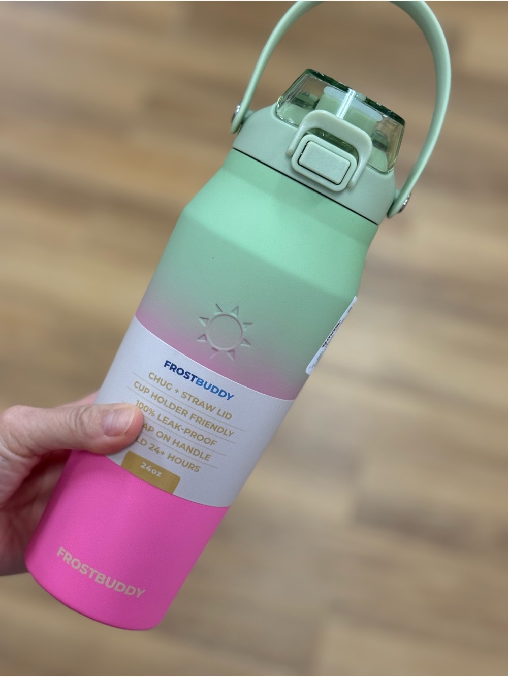 FROSTBUDDY Ombre Mint to Pink Stainless Bottle